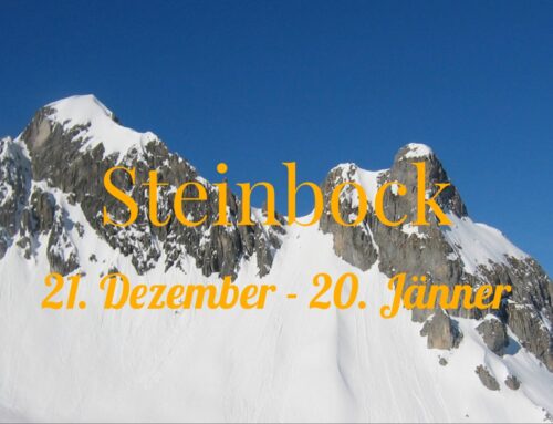 Steinbock – mit Verantwortung ins neue Jahr