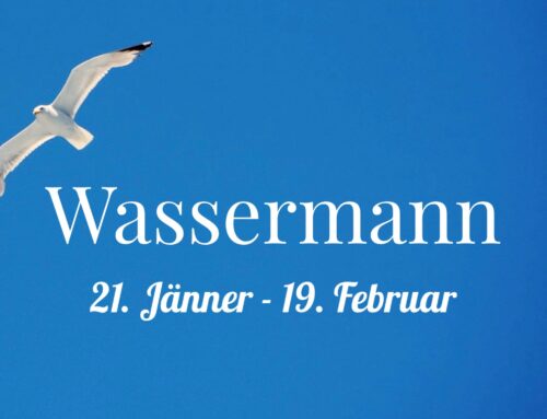 Wassermann – Narrenfreiheit und  Rebellion