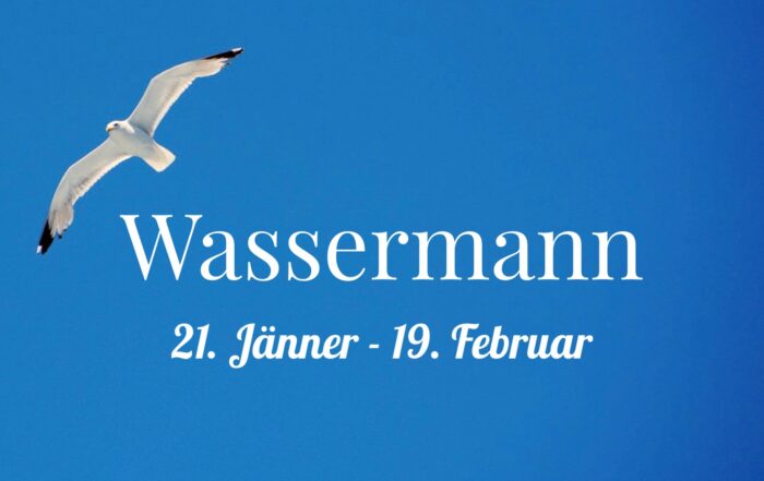 Wassermann - Zeitqualität